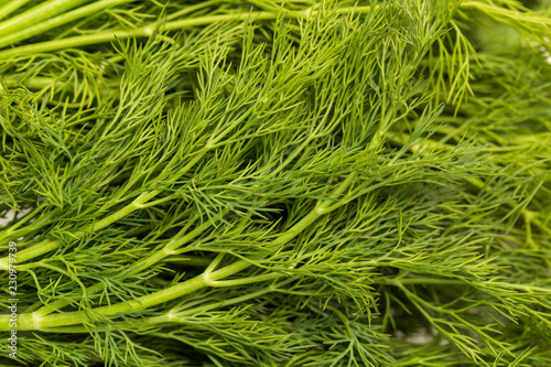 Green leaves of dill as abstract background