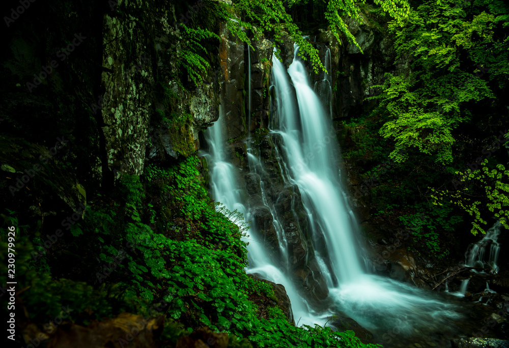 Naklejka premium cascata