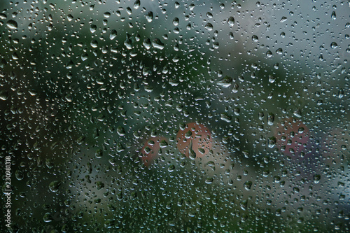 Rain drops on window glasses surface with green tree background