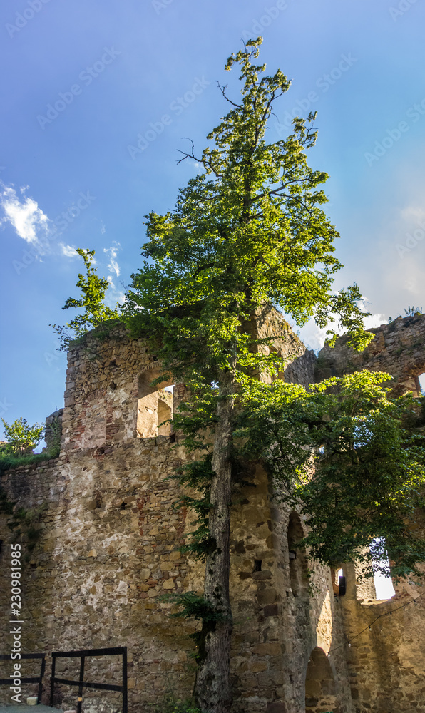 Fototapeta premium Beautiful view at fortress Hilgartsberg-Bavaria-Germany