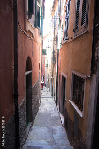 Alley at Tellaro © Niko