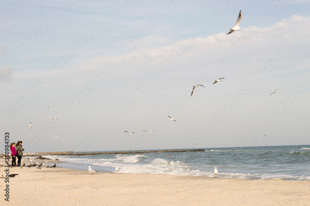 Autumn seashore. Gulls fly over the water. Enjoying the sea.