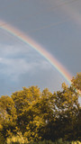 Smartphone HD wallpaper of double rainbow in front of trees - Tabertshausen - Bavaria - Germany