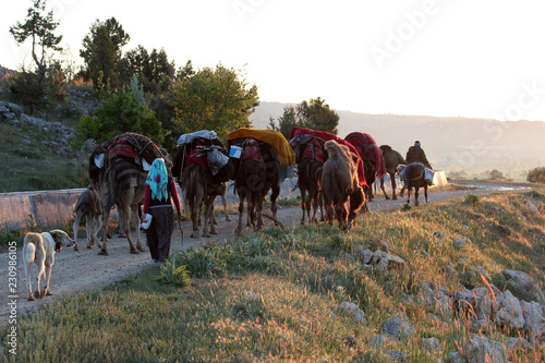 nomadic people with animals