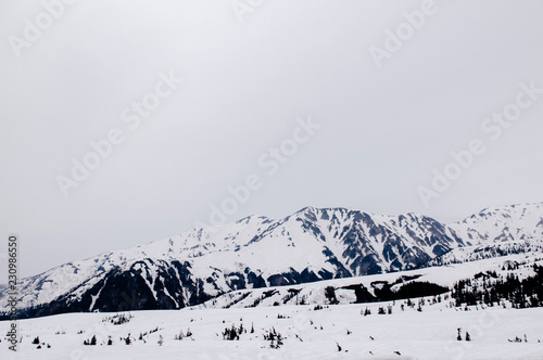 Midagaharal view on snow mountain of Japan alps, Tateyama Kurobe Alpine photo