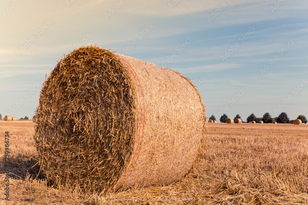 straw bales on a field