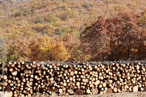 Piles of wood