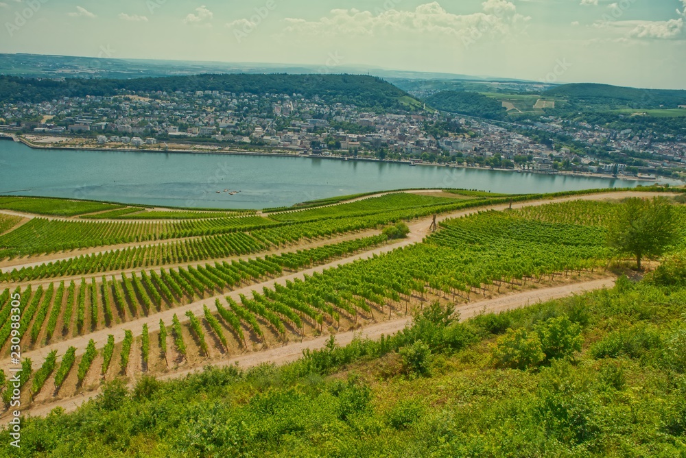 Blick auf Bingen am Rhein Rheinland Pfalz