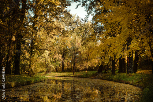 A beautiful autumn afternoon in the park.