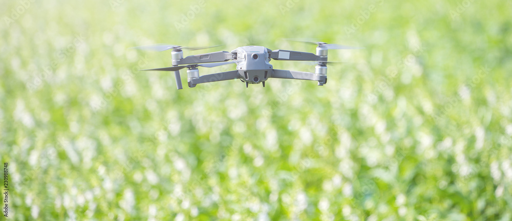 A navigating drone is tracing the farm to monitor the growth of sesame crops in the morning, Technology 4.0 concept