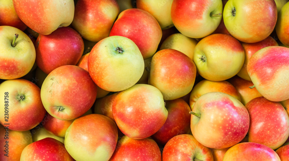 Fresh apples 'Kanzi' variety grown in the apple country South Tyrol, northern Italy. Apple suitable for juice, strudel, apple puree, compote. Fresh apples 'Kanzi' variety grown in the apple country South Tyrol, northern Italy. Apple suitable for juice, strudel, apple puree, compote.