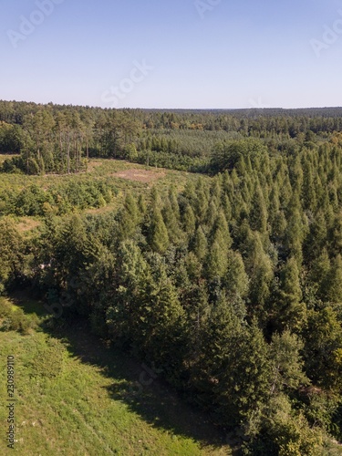 Forest seen from above.  Beautiful drone landscape.