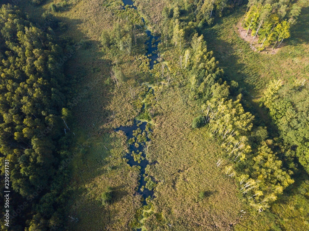 Small stream in morning forest. Small stream in morning forest.