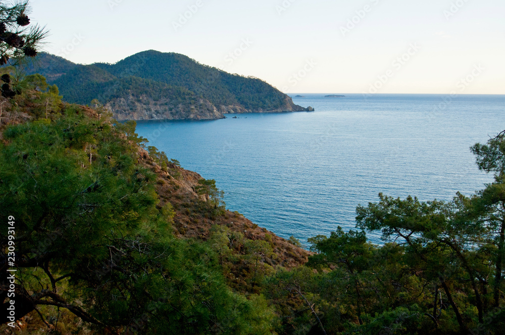 Scenic view of the mountains, sea and forest taken on a bright sunny day
