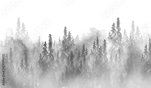 Watercolor group of trees - fir, pine, cedar, fir-tree. black and white forest, countryside landscape. Drawing on white isolated background. Hand drawn watercolor illustration. Foggy frosty forest