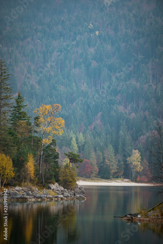 Fototapeta Naklejka Na Ścianę i Meble -  Herbstwalds mit Spiegelung im glasklaren Eibsee