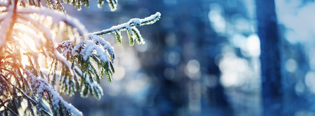 Beautiful tree in winter landscape in late evening in snowfall
