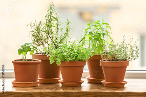 Pots with fresh aromatic herbs on wooden windowsill