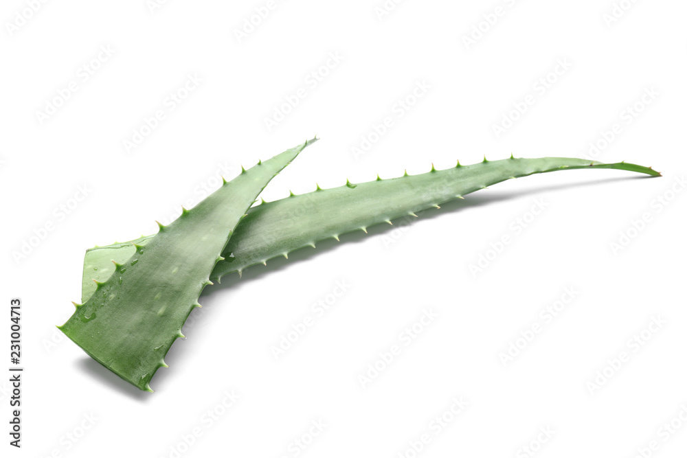 Naklejka premium Fresh aloe vera leaves on white background