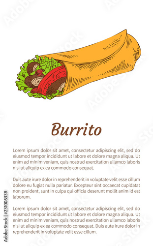 Mexican Spicy Fast Food Burrito Wrap Promo Poster