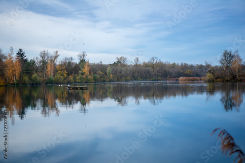 View of trees reflected on lake surface early in the morning