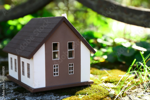 Model of house on green mos...
