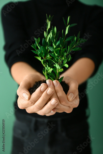 Woman holding soil with green plant in hands, closeup. Ecology concept