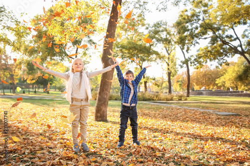 Children playing with leave...