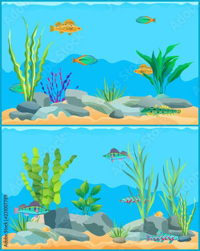 Colorful Cartoon Aquarium Fishes Set Promo Poster