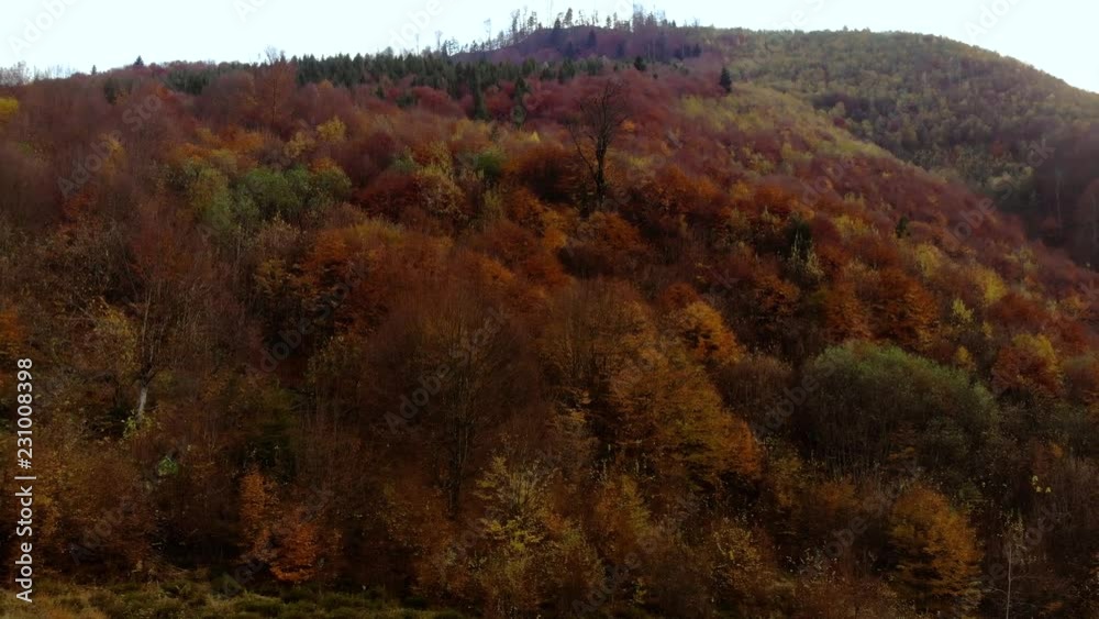 Autumn forest. Forest in the mountains. Shooting from the quadcopter. Autumn forest. Forest in the mountains. Shooting from the quadcopter.