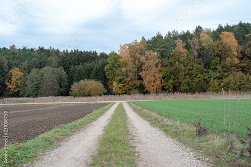 Herbstlicher Wald in Bayern