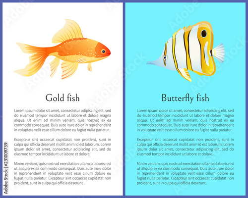 Butterfly and Gold Fish Colorful Poster with Text