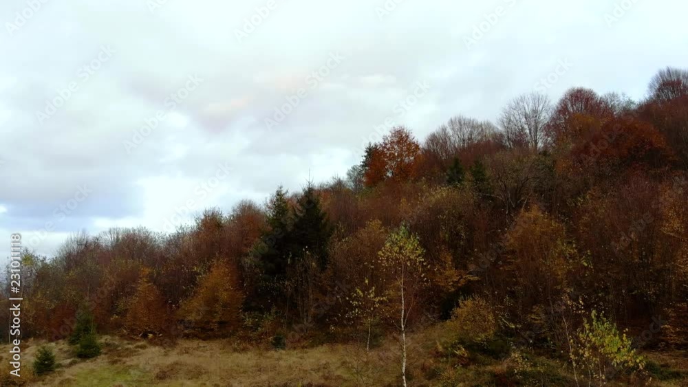 Autumn forest. Forest in the mountains. Shooting from the quadcopter. Autumn forest. Forest in the mountains. Shooting from the quadcopter.
