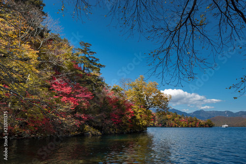 a cruise boat takes tourist to see autumn color in Chuzenji lake with turquoise surface of water and colorful of tree with yellow green and red and blue sky with clouds photo