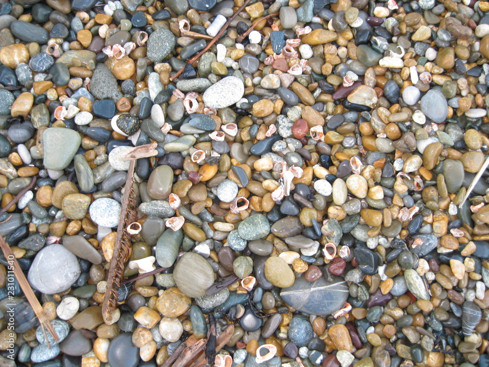 pebbles on the beach pebbles on the beach
