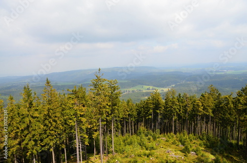 Nature near Krudum in the Slavkov Forest photo
