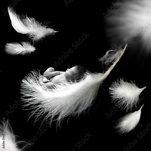 Billede på lærred Newborn baby sleeping on feather