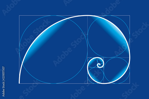 Golden ratio , Golden proportion vector