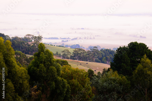 Foggy sunrise, Yarragon South hills, Victoria, Australia