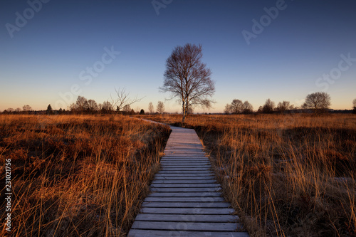 Frozen boardwalk