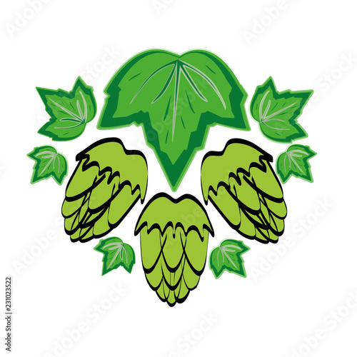 vector illustration of green leaf and hop cone