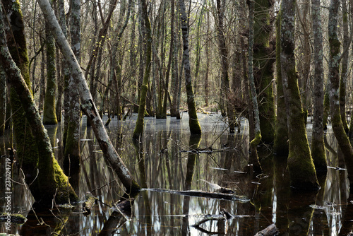 Piscine naturali della Verdesca