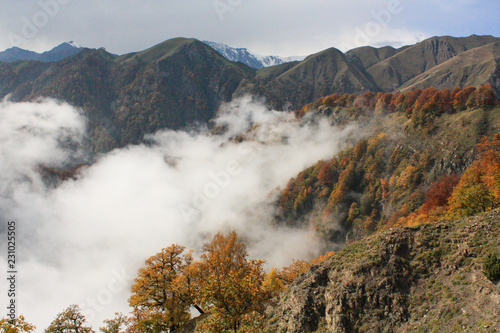 mountains in autumn