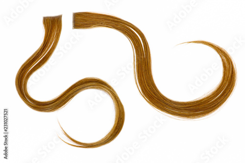 a strand of brown hair on a white background, isolated