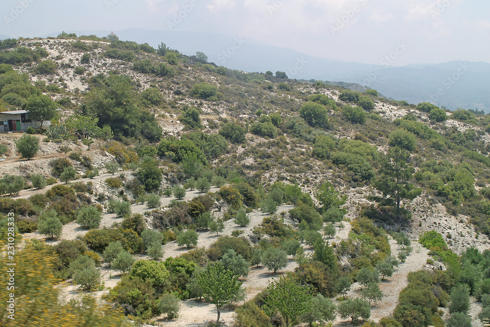 green hills of cyprus