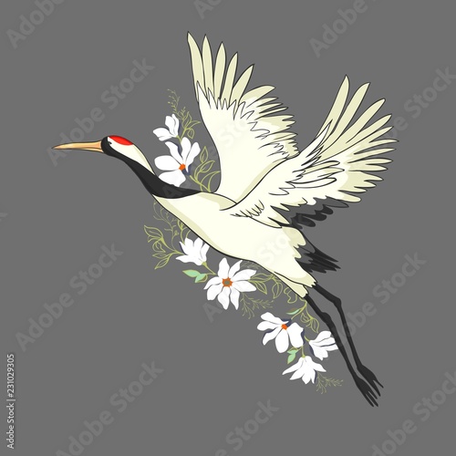 Vector watercolor set of illustrations bird crane. White stork . isolated object