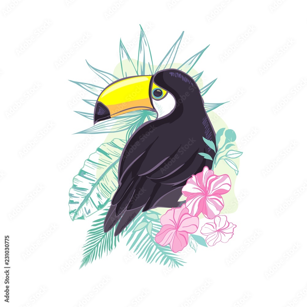 Fototapeta premium An illustration of a nice toucan in vector format. A cute toucan bird image for kid's education and fun in nursery and schools, and decoration purposes. Jungle animals collection