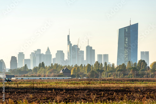 Ackerbau in Frankfurt Oberrad mit Skyline und der Europäischen Zentralbank im Hintergrund © helmutvogler