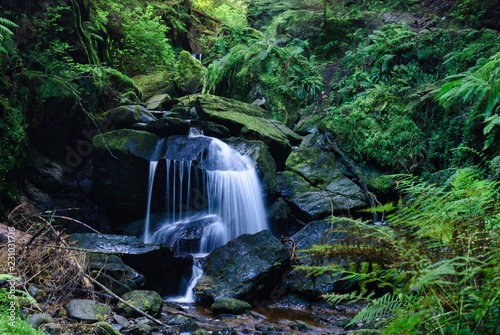 A waterfall in the magical Pucks Glen walk, in Argyll Forest Park, near Dunoon, on the Cowal peninsula, Argyll and Bute, Scotland. photo