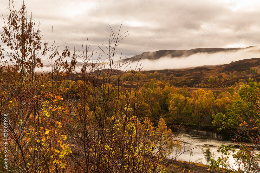Fototapeta premium An autumnal image of Shiehallion and the river Tummel in Perth and Kinross, Scotland
